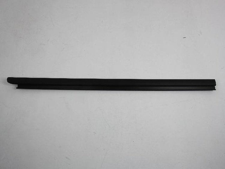 W/STRIP FRONT DOOR