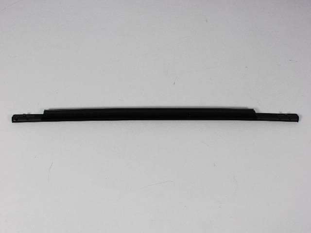 W/STRIP REAR DOOR BELT