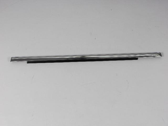 W/STRIP REAR DOOR BELT