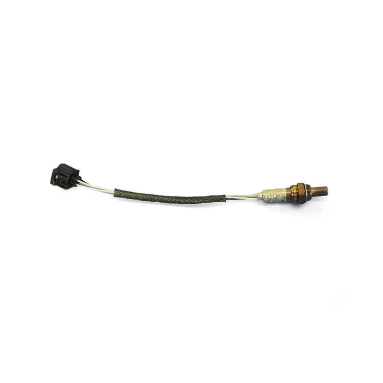 SENSOR OXYGEN