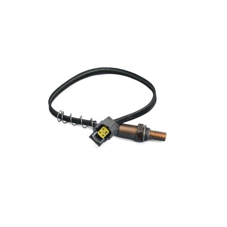 SENSOR OXYGEN
