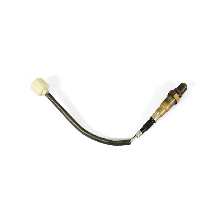 SENSOR OXYGEN