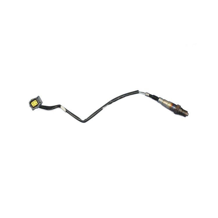 SENSOR OXYGEN