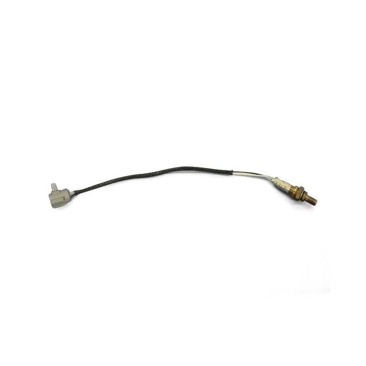 SENSOR OXYGEN