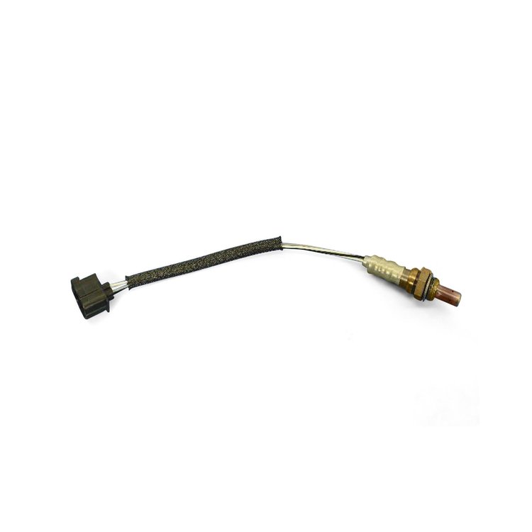 SENSOR OXYGEN