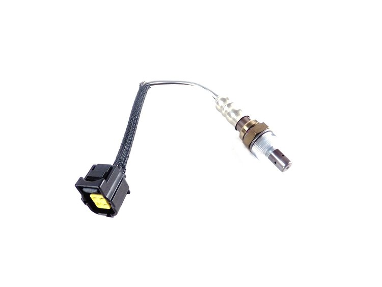 SENSOR OXYGEN