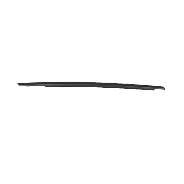 W/STRIP FRONT DOOR BELT