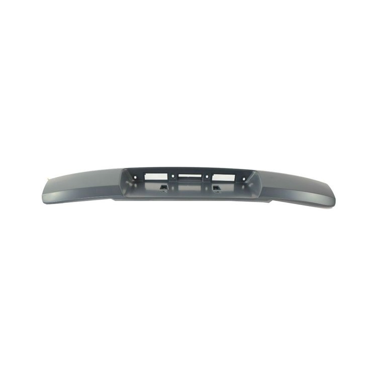 MOLDING LIFTGATE
