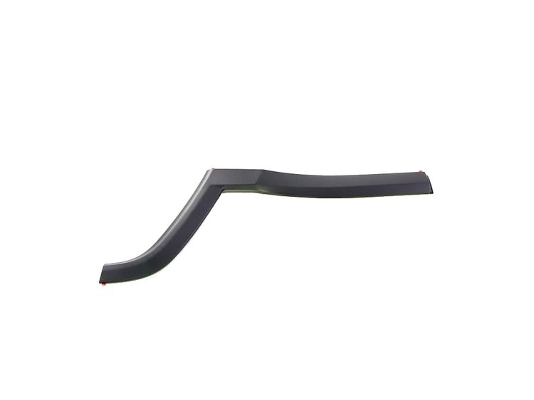 MOLDING REAR DOOR