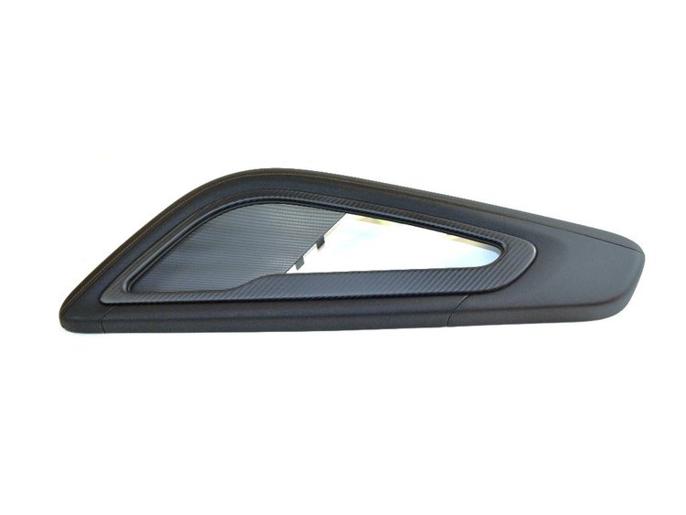 PANEL FRONT DOOR TRIM