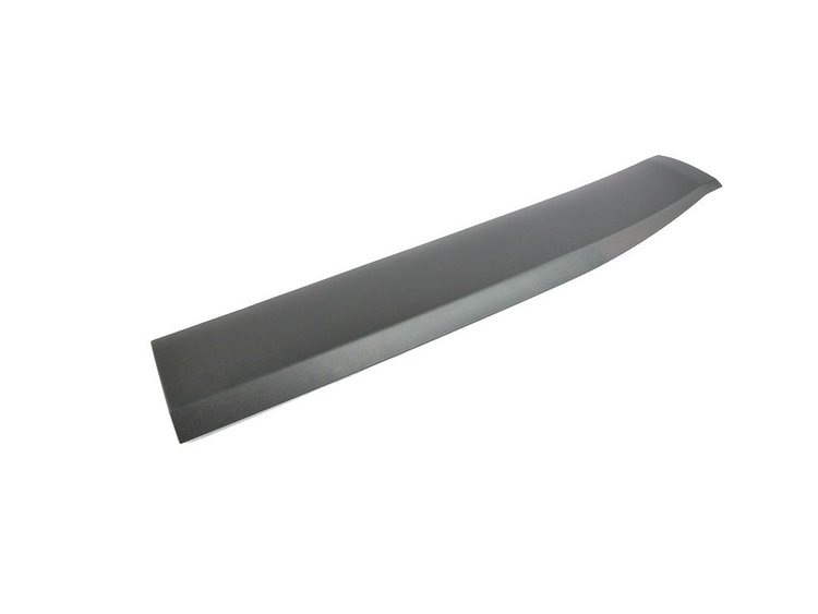 MOLDING FRONT DOOR