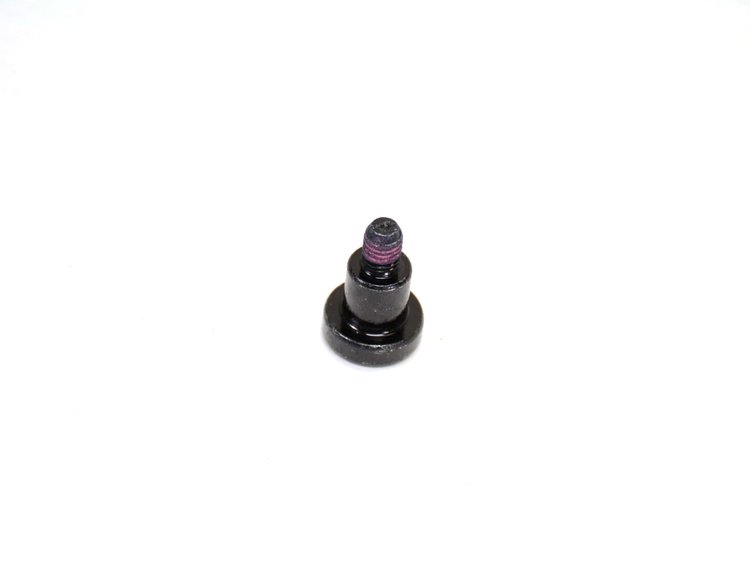 SCREW TARGA PANEL LEVER