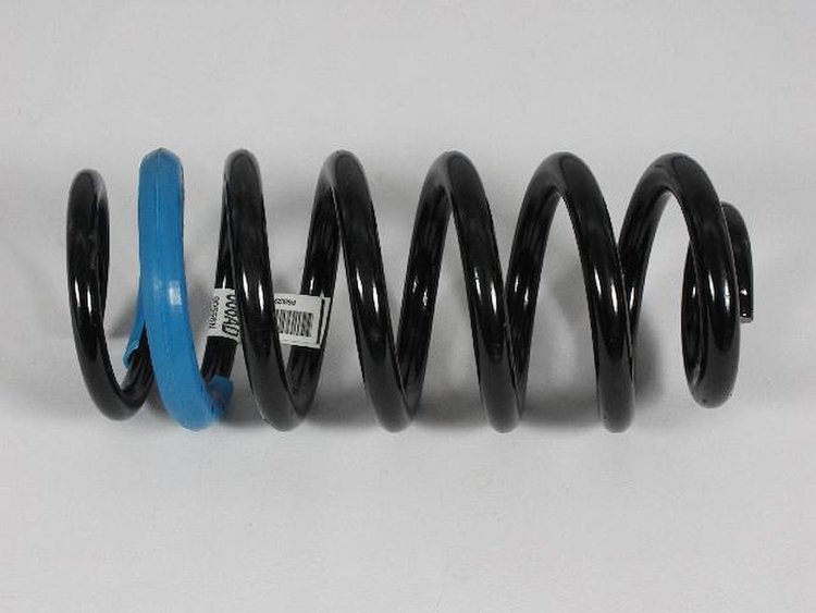 SPRING REAR COIL