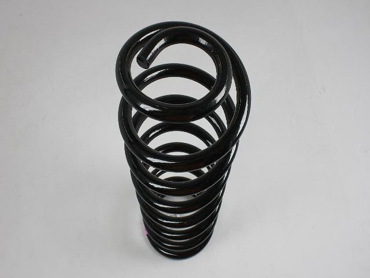 SPRING REAR COIL