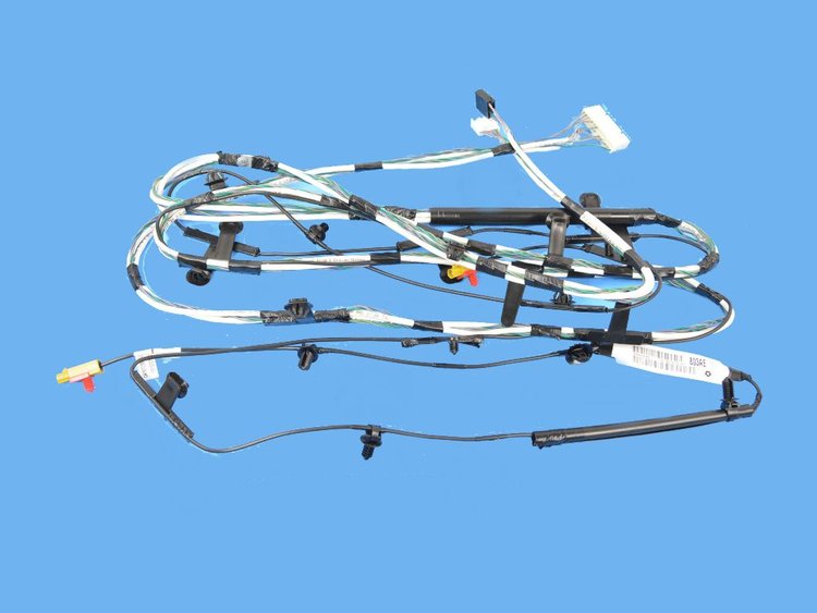 WIRING BODY