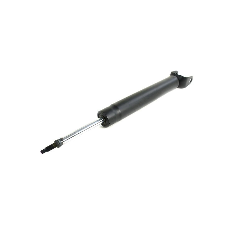 ABSORBER SUSPENSION