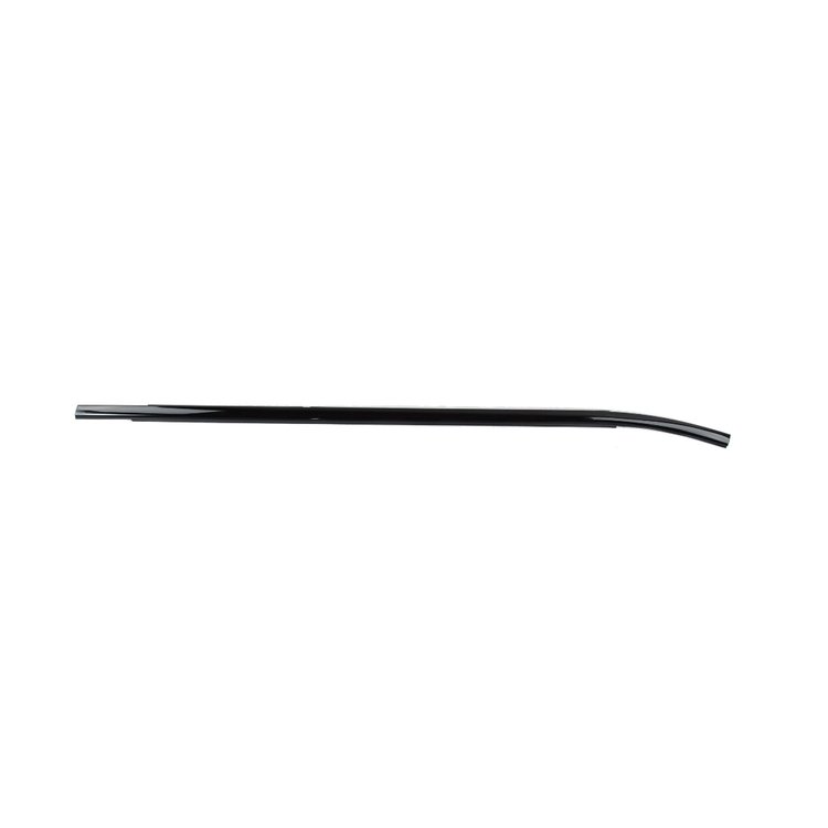 W/STRIP FRONT DOOR BELT