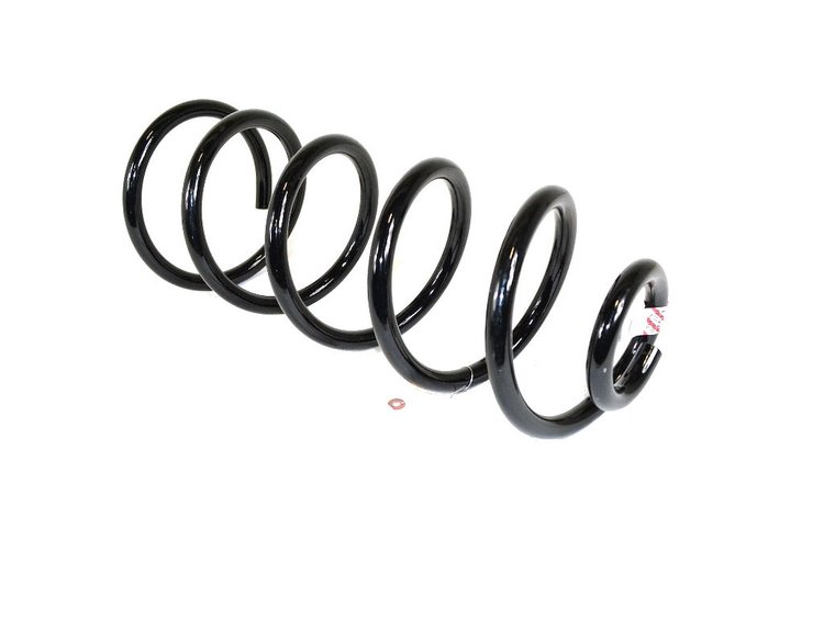 SPRING REAR COIL