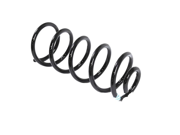 SPRING REAR COIL