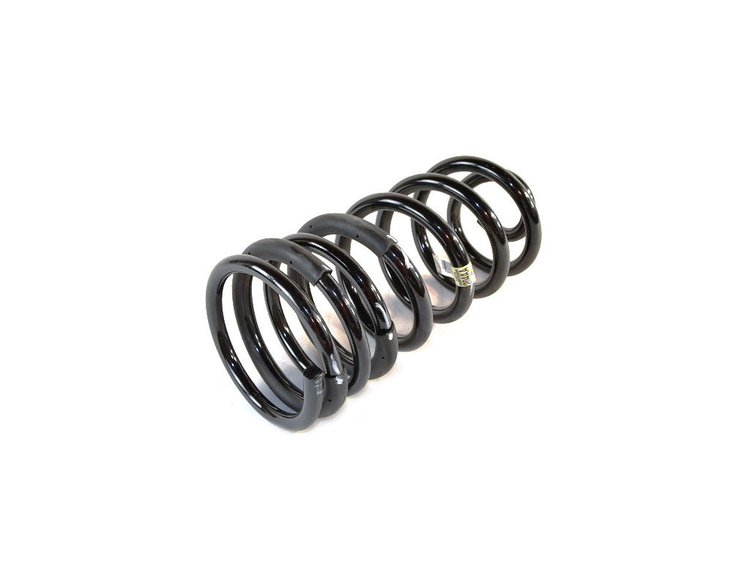 SPRING REAR COIL
