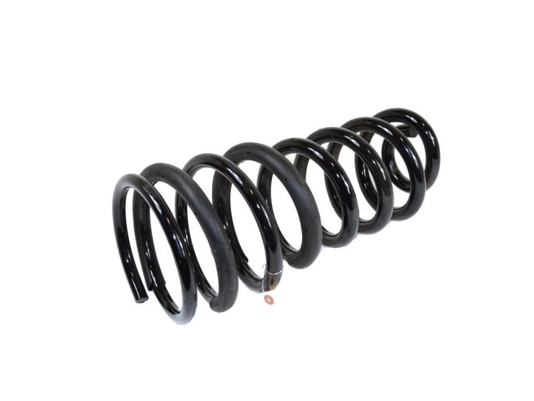 SPRING REAR COIL