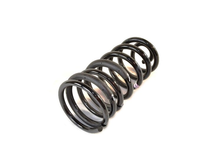SPRING REAR COIL
