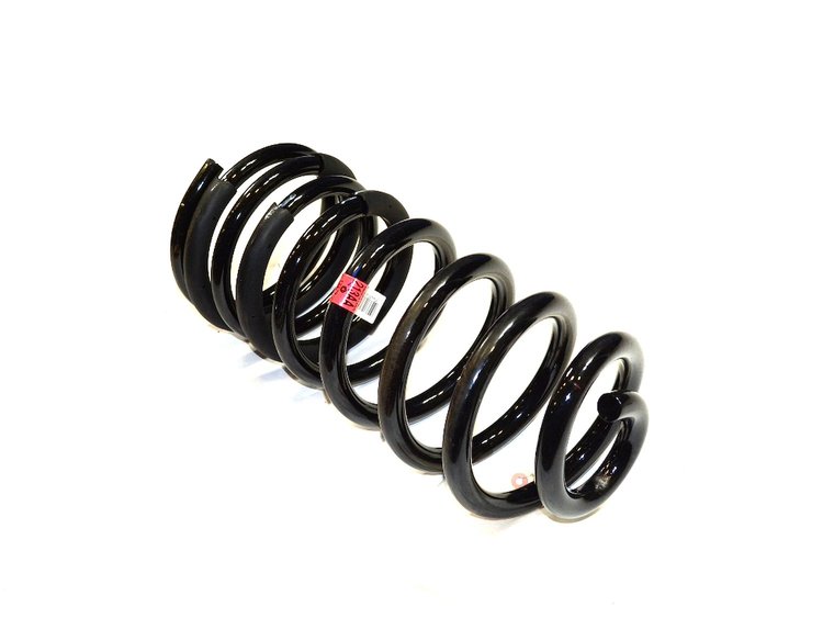 SPRING REAR COIL