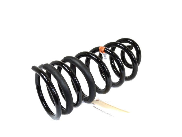 SPRING REAR COIL