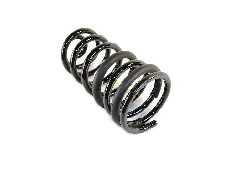 SPRING REAR COIL