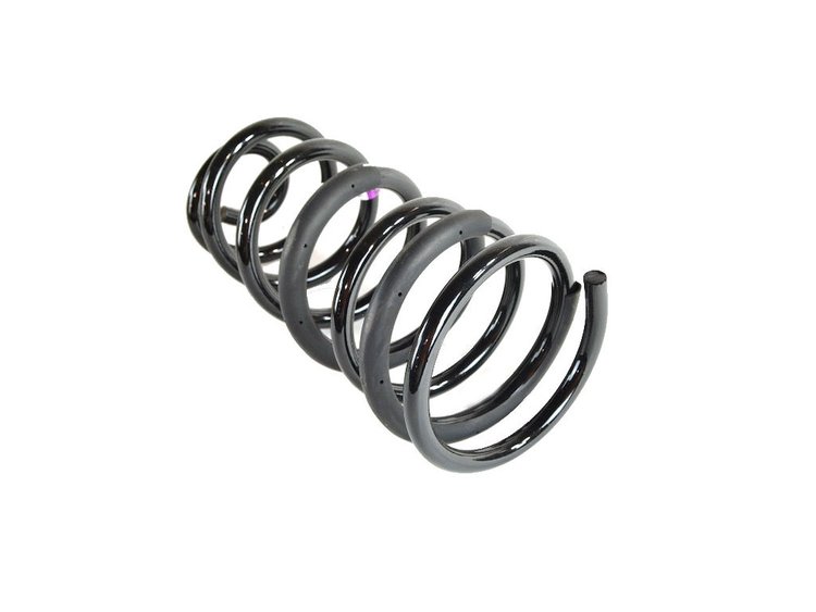 SPRING REAR COIL