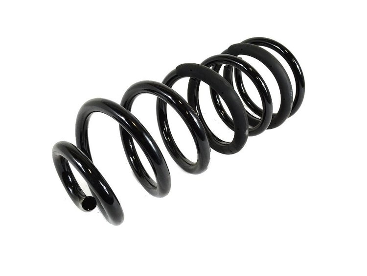 SPRING REAR COIL