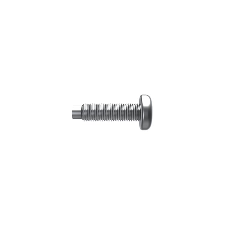 SCREW TORX