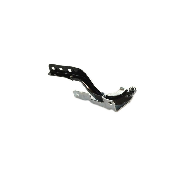 HINGE HOOD