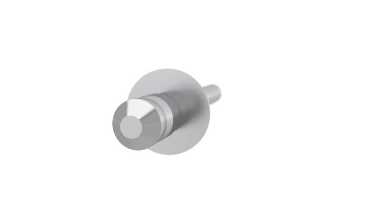 RIVET