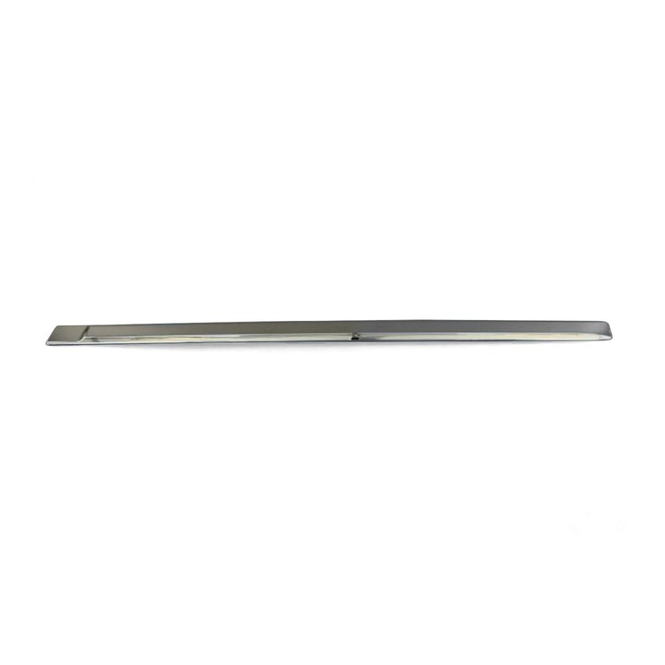 MOLDING REAR DOOR