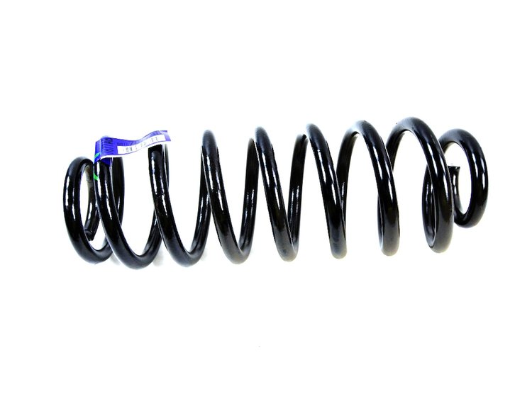 SPRING REAR COIL