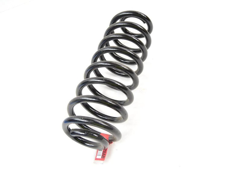 SPRING REAR COIL