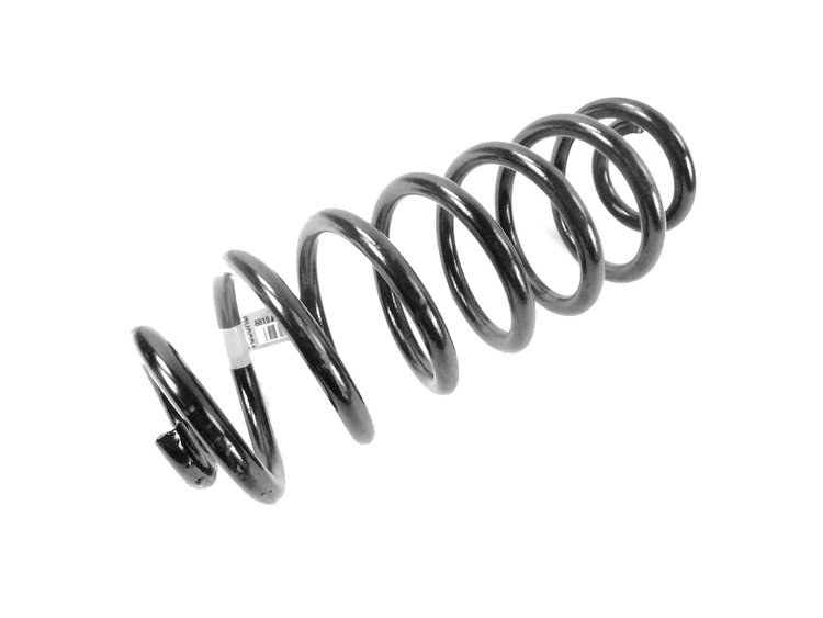 SPRING REAR COIL