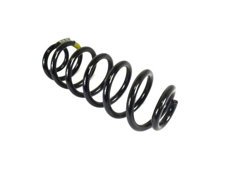 SPRING REAR COIL