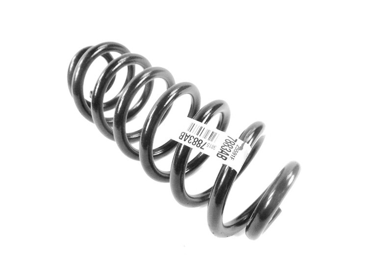 SPRING REAR COIL