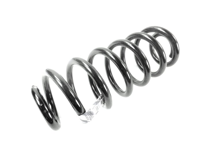 SPRING REAR COIL