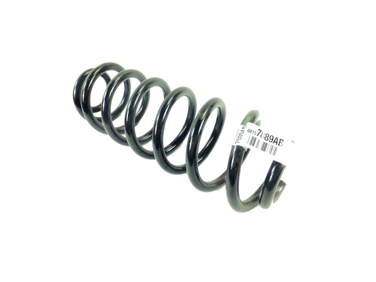 SPRING REAR COIL