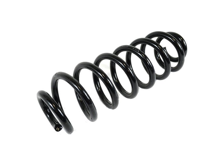 SPRING REAR COIL