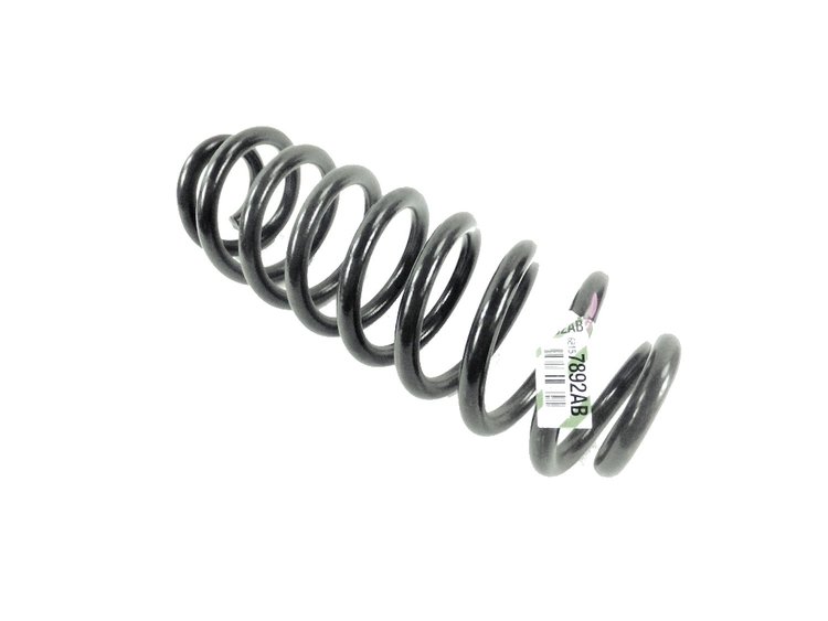 SPRING REAR COIL