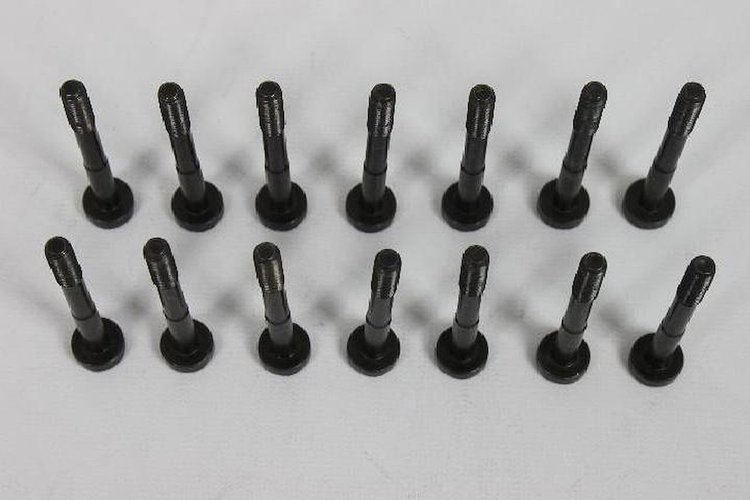 SCREW 6 LOBE