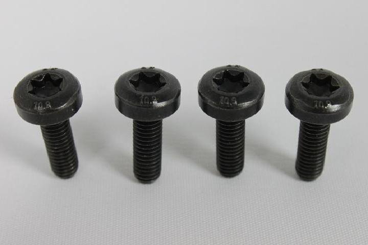 SCREW TORX HEAD