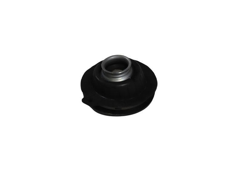 MOUNT STRUT