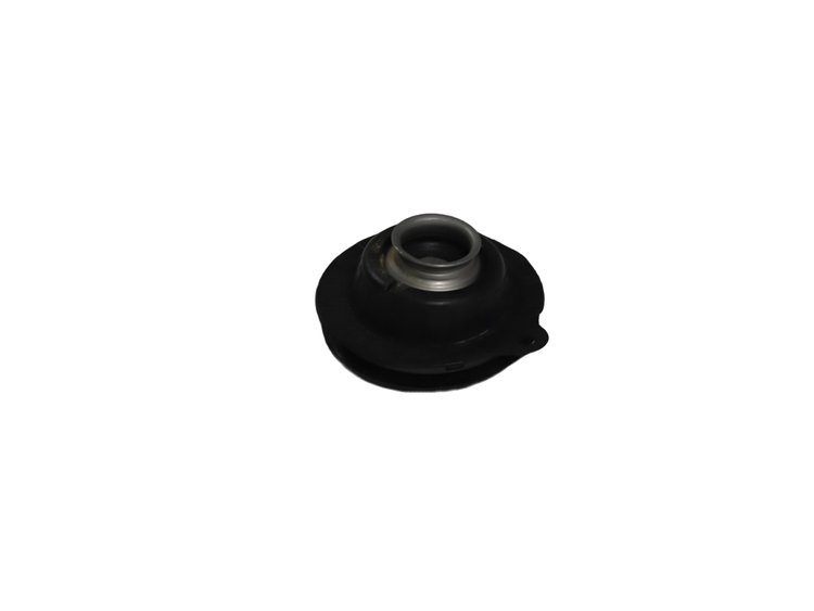 MOUNT STRUT