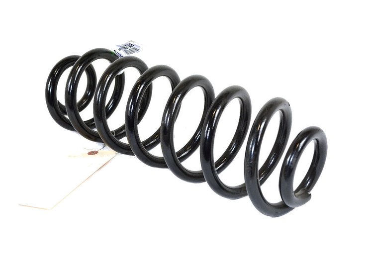 SPRING REAR COIL