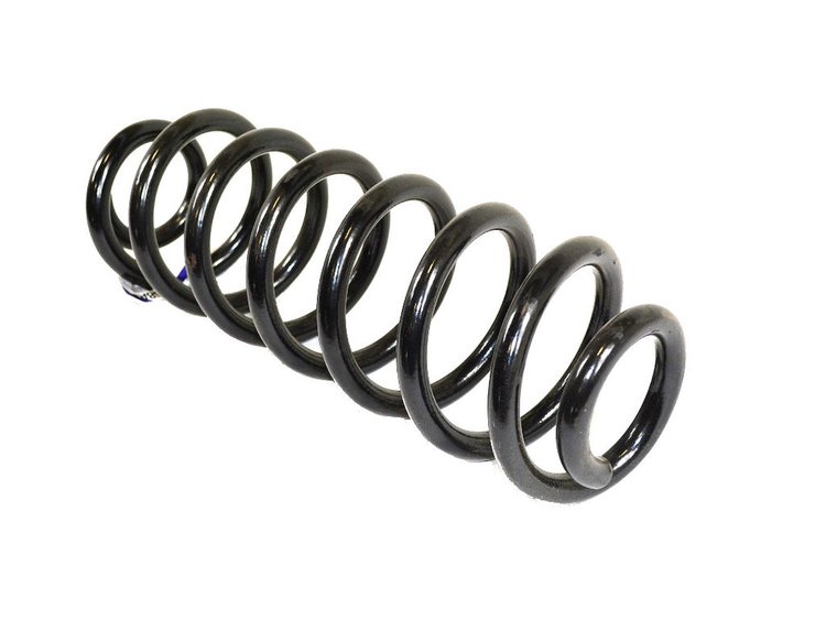 SPRING REAR COIL